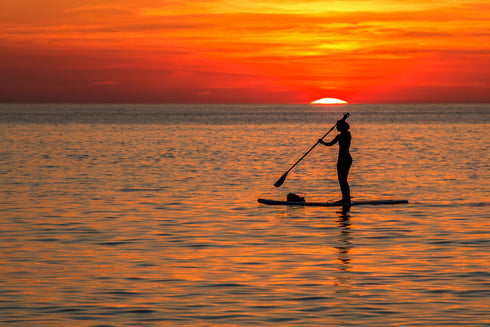 SUP Leje København